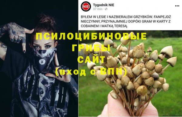 кокаин премиум Кирсанов