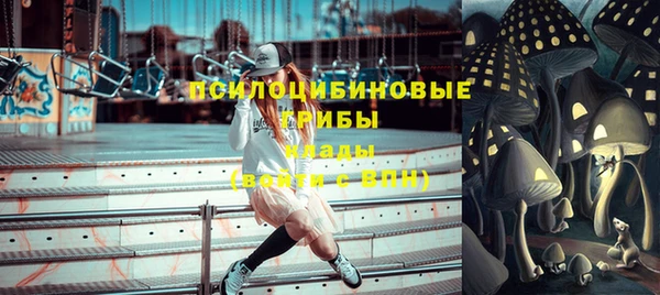 круглые Корсаков