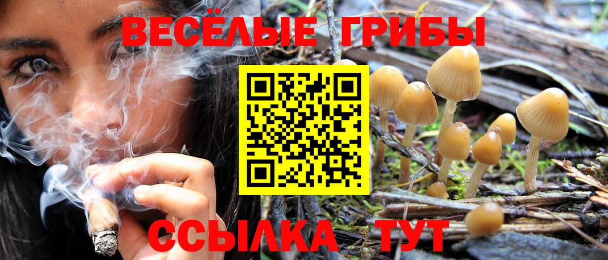 Псилоцибиновые грибы мицелий Михайловка