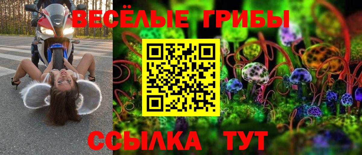 Галлюциногенные грибы Cubensis  Михайловка 
