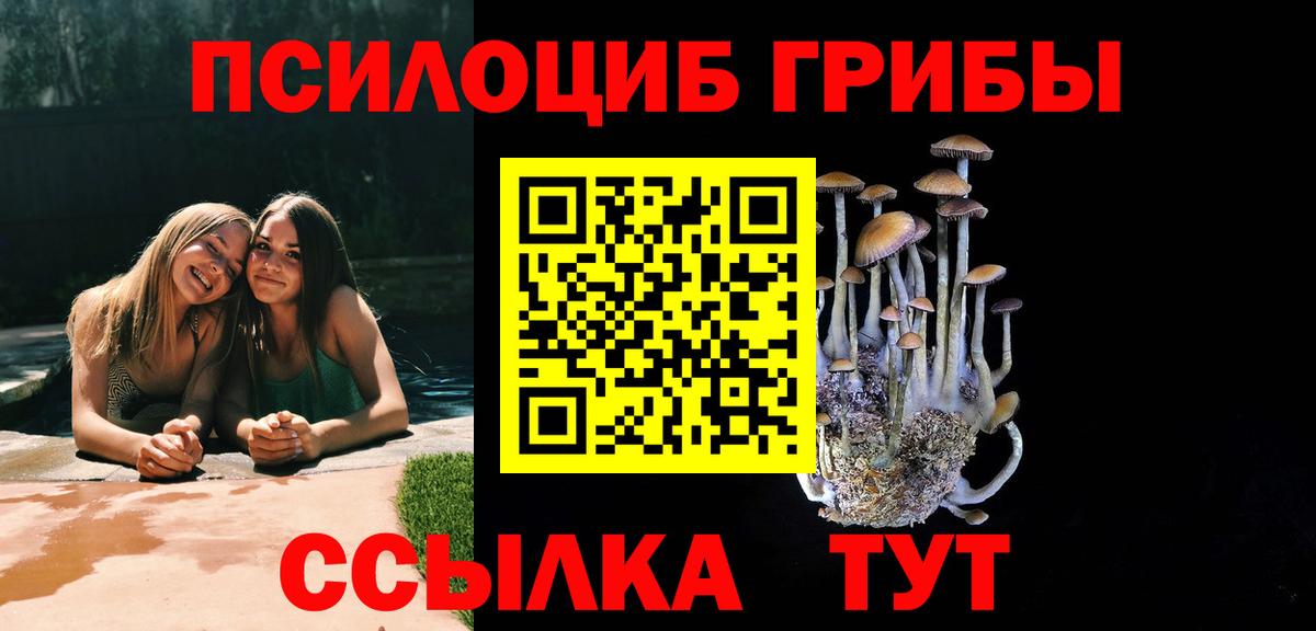 Псилоцибиновые грибы Psilocybine cubensis  Вход с VPN  закладка  Михайловка 