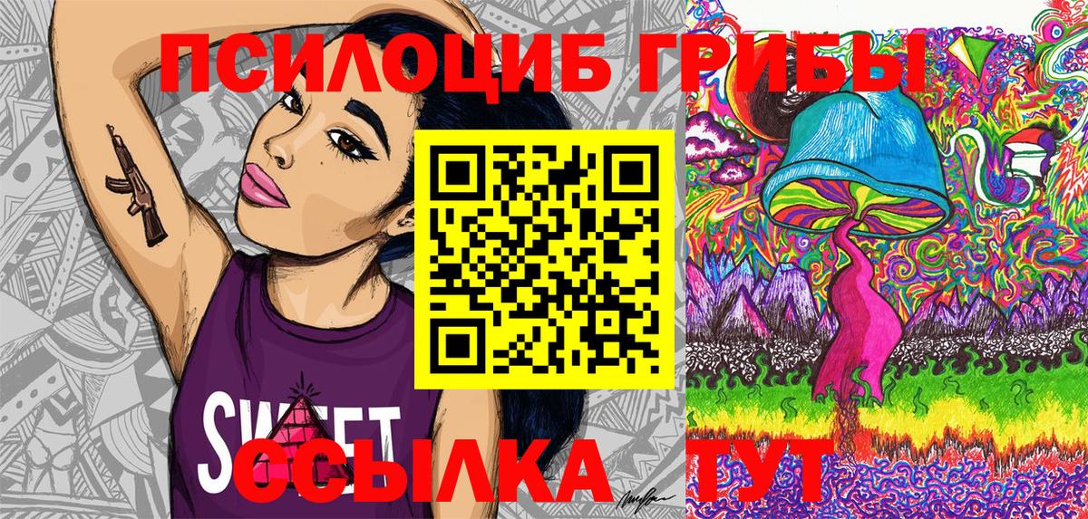 Псилоцибиновые грибы Cubensis Михайловка